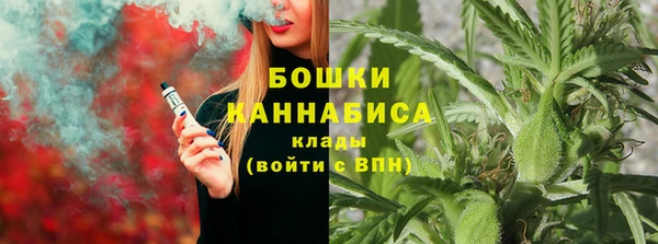 стафф Снежногорск