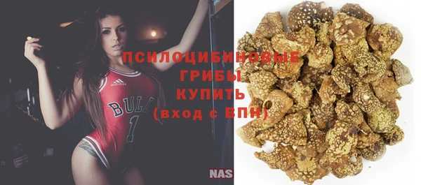 стафф Снежногорск